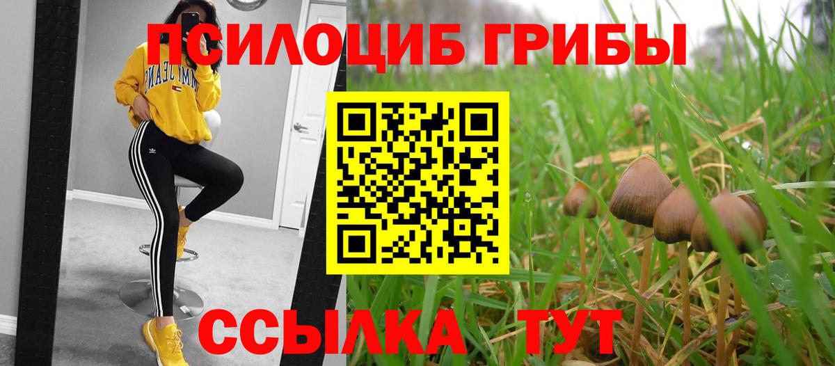 Наро-Фоминск  Псилоцибиновые грибы GOLDEN TEACHER  Вход с VPN 